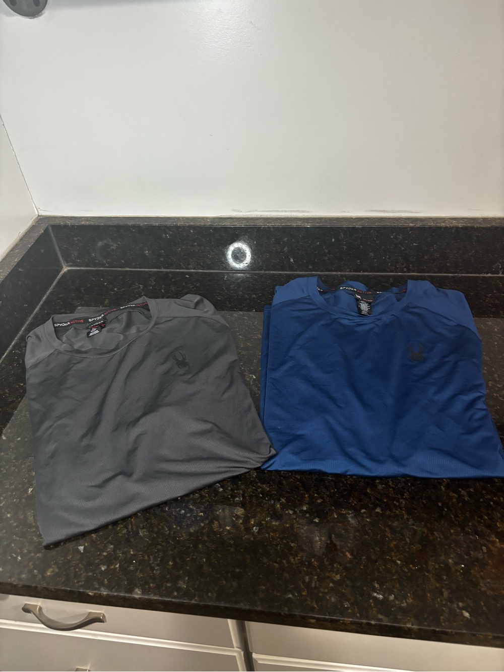 SPYDER ACTIVE Set of Two Men’s Short Sleeve Tech Tees - Blue / Gray